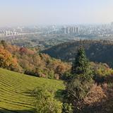 风云T10车主头像