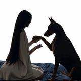 缤纷火车I7F头像