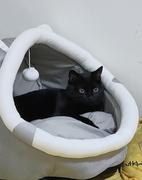 橙子家有猫的个人资料头像