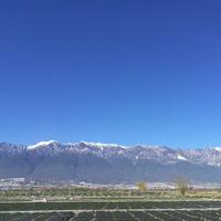 四气调神yum头像