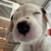 Gin_848的个人资料头像