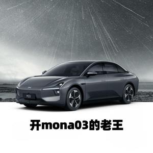 开MONA03的老王头像