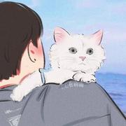 阿辉766的个人资料头像