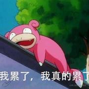 Hoboclim的个人资料头像