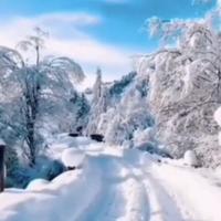 看不清的真理头像