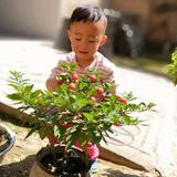 阿涛头像