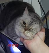 这里为啥不能重名的个人资料头像