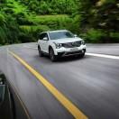 秋风扫落叶同志的个人资料头像