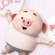 92LB的个人资料头像