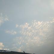 道人的个人资料头像