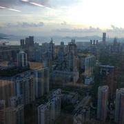 韧酱的个人资料头像