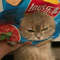 每天记得笑一笑563头像