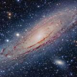 星瞳爸爸头像