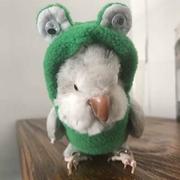 边个懂的个人资料头像