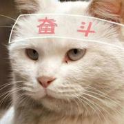 未来的人工智能工程师的个人资料头像