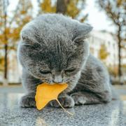 用户621176121555的个人资料头像