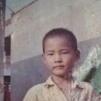 抱怨太阳的青蛙头像
