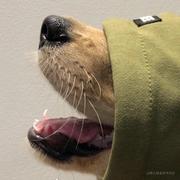 user3098654293246的个人资料头像