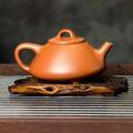 乘风破浪的精灵mUg头像