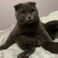 不会钓鱼的憨憨头像