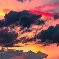 上进面条2F2头像