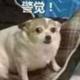 用户1039161646823头像