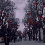 大概是你酒窝迷人头像