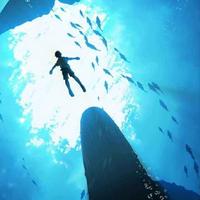 user7515859815810头像