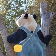 思想的甜筒猫的个人资料头像