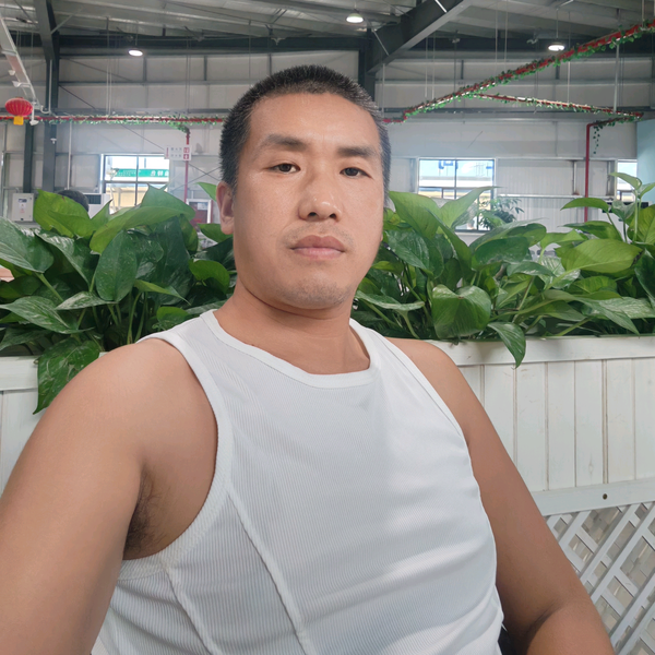 大冰流浪三轮头像