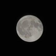 与我188的个人资料头像