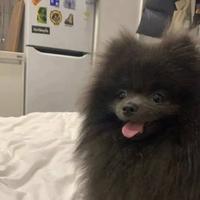 用户9603603009079头像