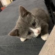 juleide的个人资料头像