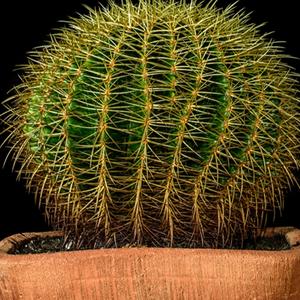 科技通世界头像