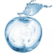 OU的个人资料头像