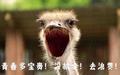 杨云熙X头像