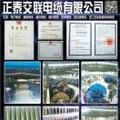 正泰交联电缆15249676888205头像