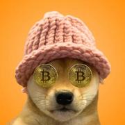 CryptoRzz的个人资料头像