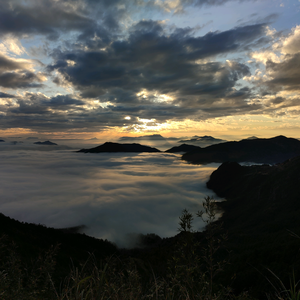 军营村高山农副产品店头像