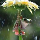 静候佳音酱的个人资料头像