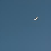 alin_juejin的个人资料头像