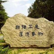 work的个人资料头像