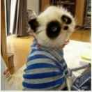 太子Duan的个人资料头像