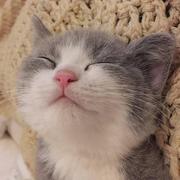 如慕南风的个人资料头像