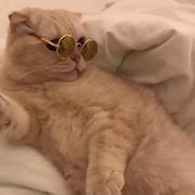 rhsphere的个人资料头像