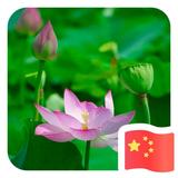 玉面诸葛635头像