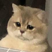 那我变小熊的个人资料头像