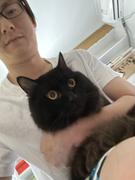 1个小罗罗的个人资料头像