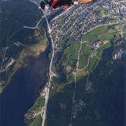 大迷鹿的个人资料头像