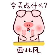 Rumi的个人资料头像